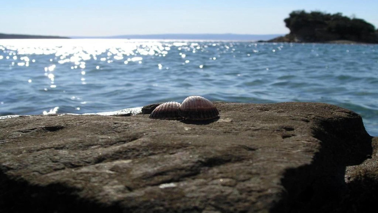 Photo of Others in Supetarska Draga