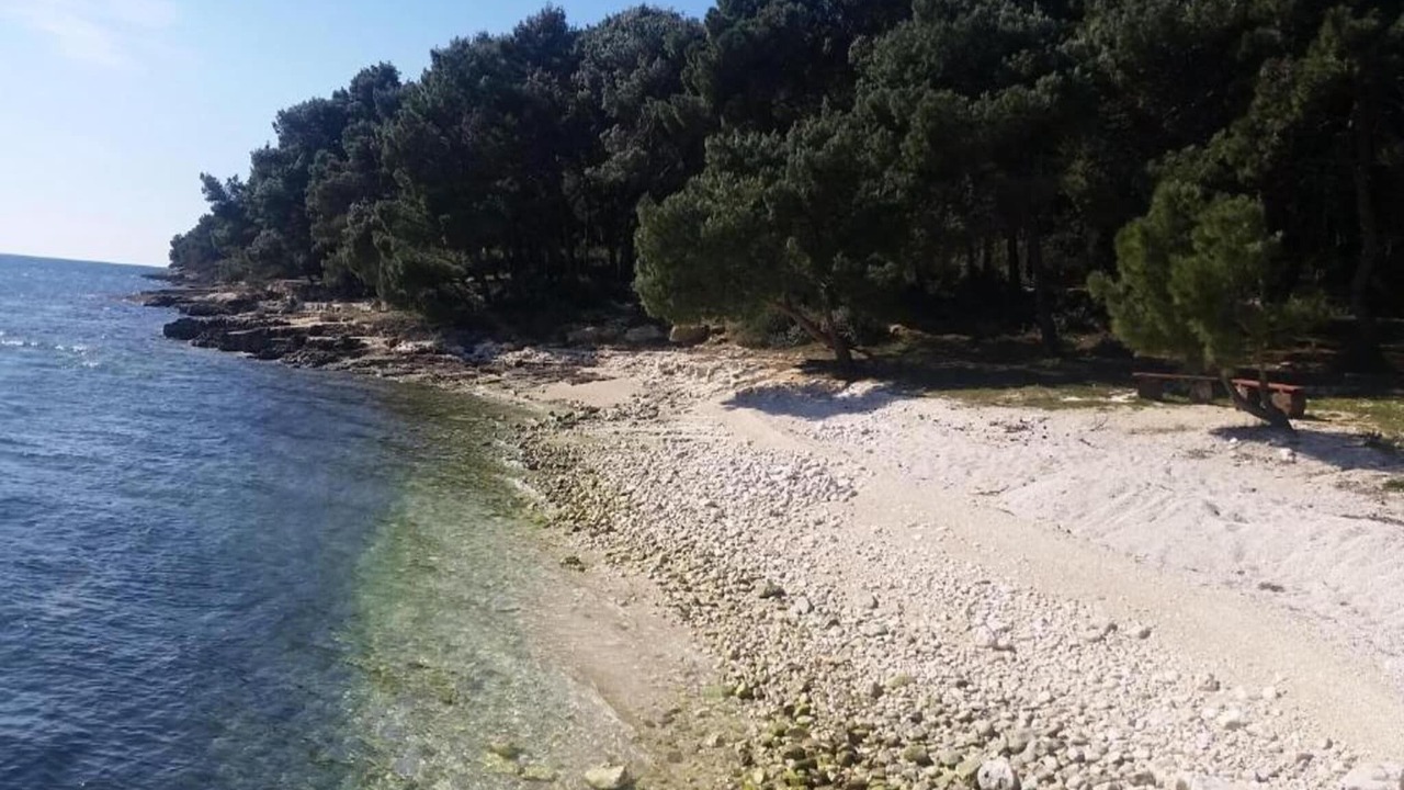 Photo of Others in Pula