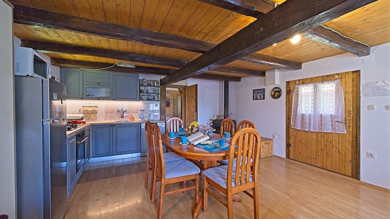 Photo of Kitchen in Barilovic