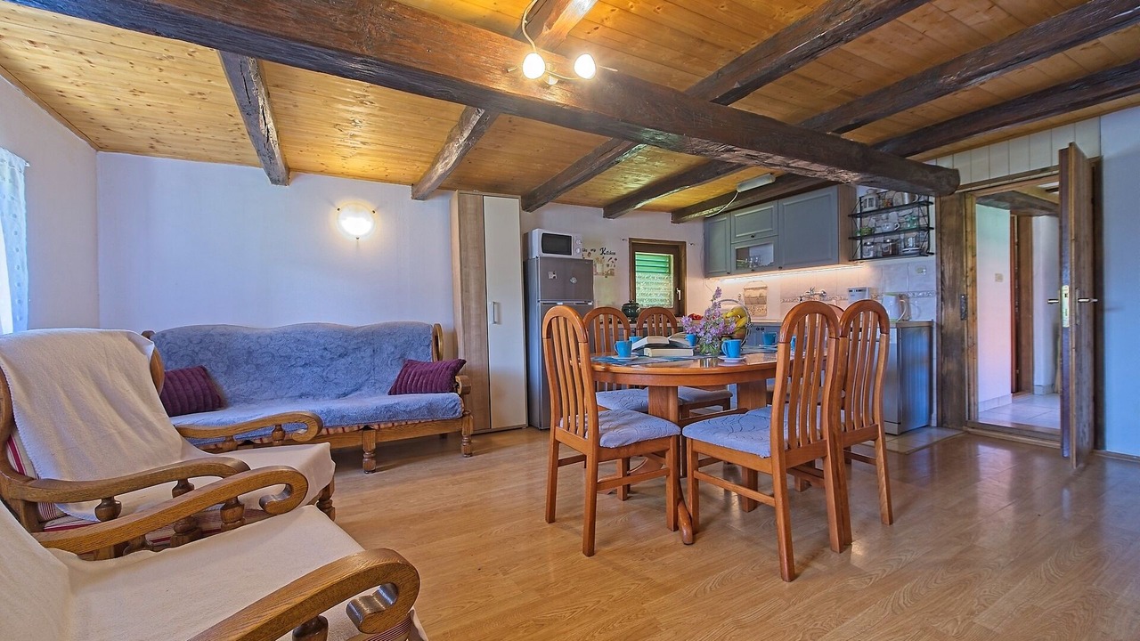 Photo of Livingroom in Barilovic