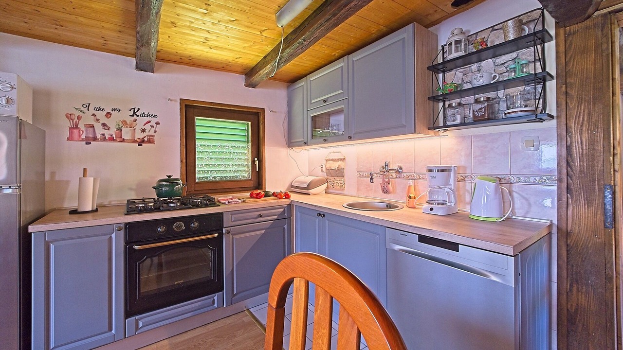 Photo of Kitchen in Barilovic