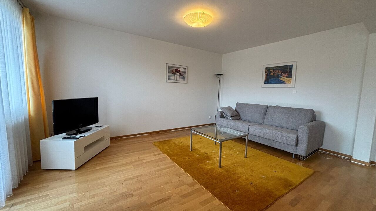 Photo of Livingroom in Muhlebach