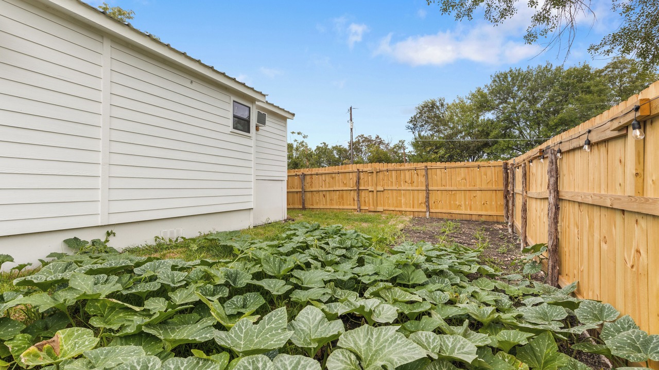 Photo of Outdoor in San Marcos