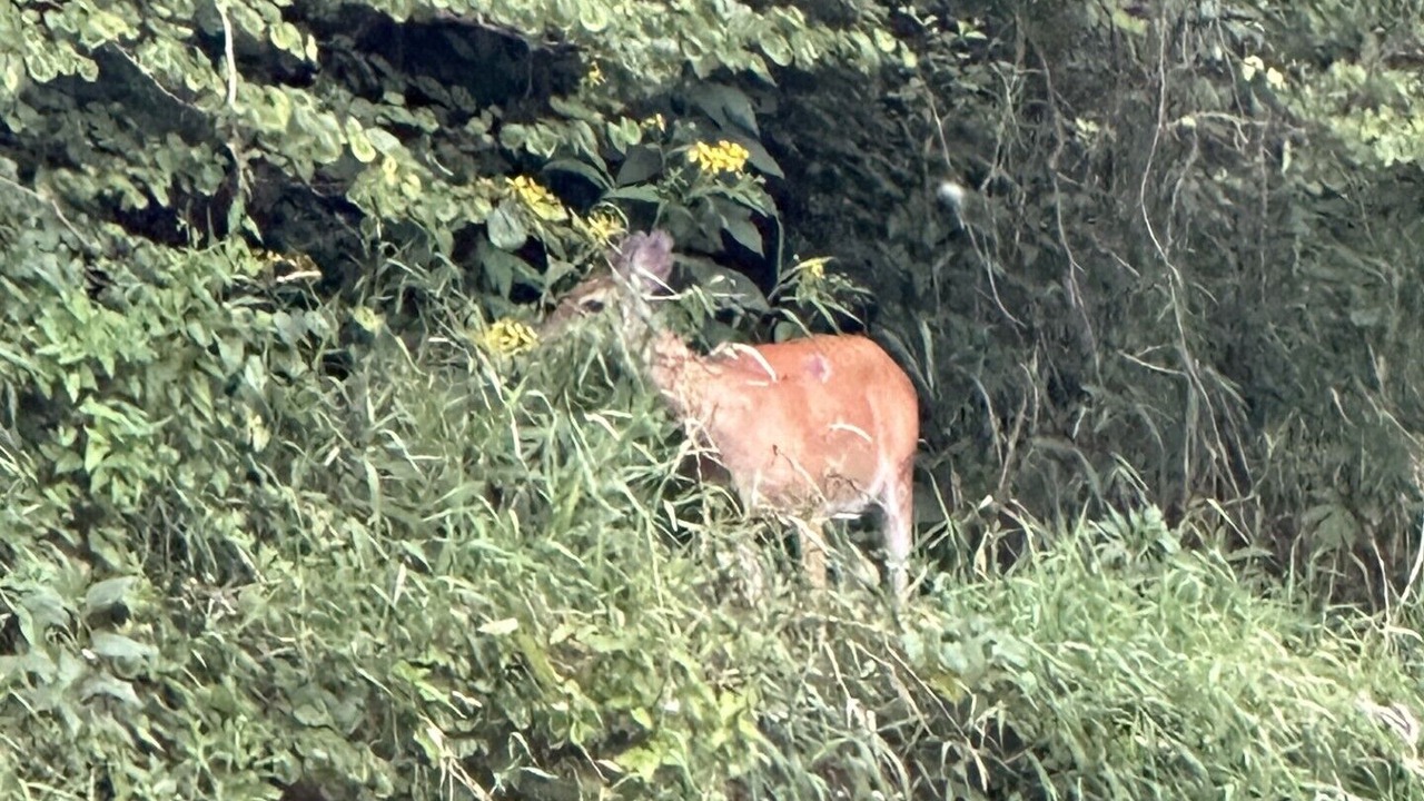Photo of Others in Noblesville
