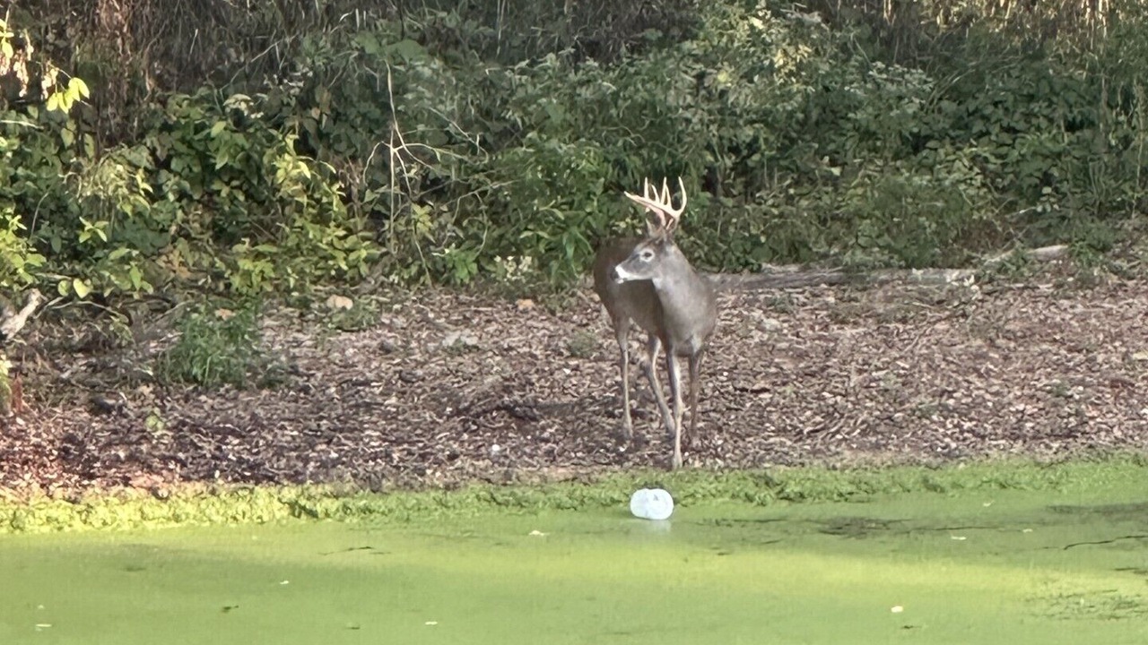 Photo of Others in Noblesville