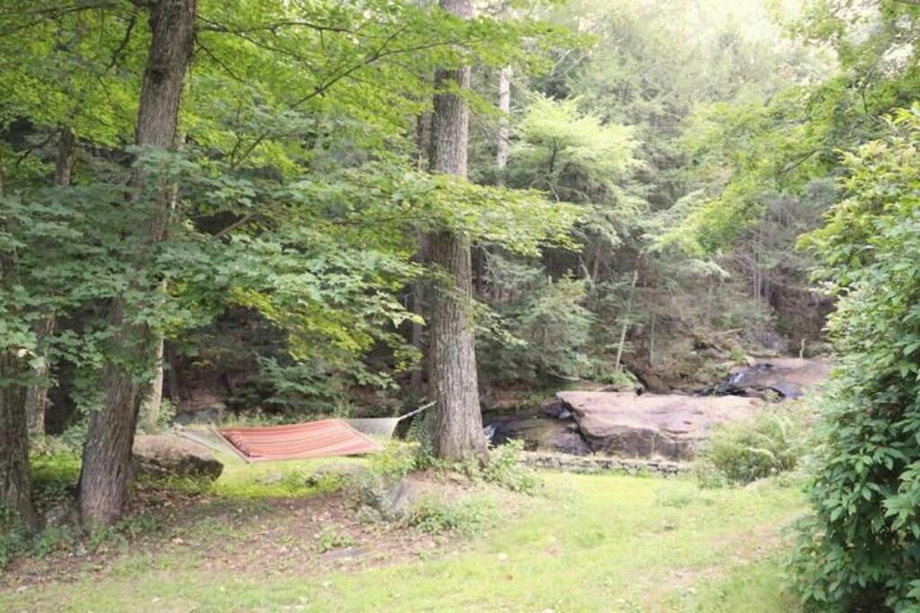 Photo of Others in Wilton