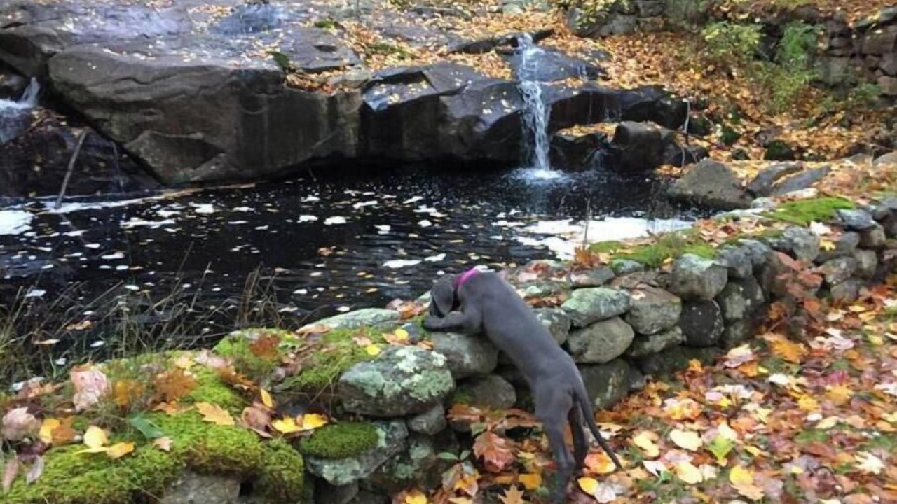 Photo of Others in Wilton