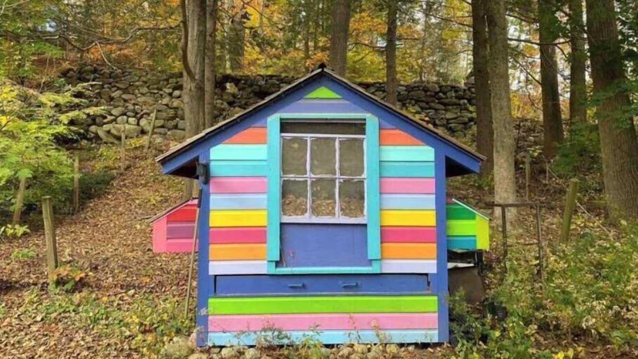 Photo of Outdoor in Wilton