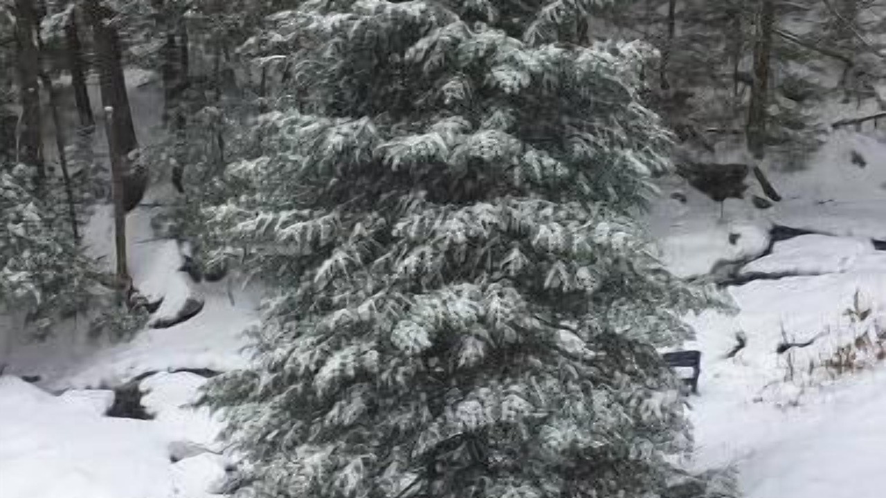 Photo of Others in Wilton