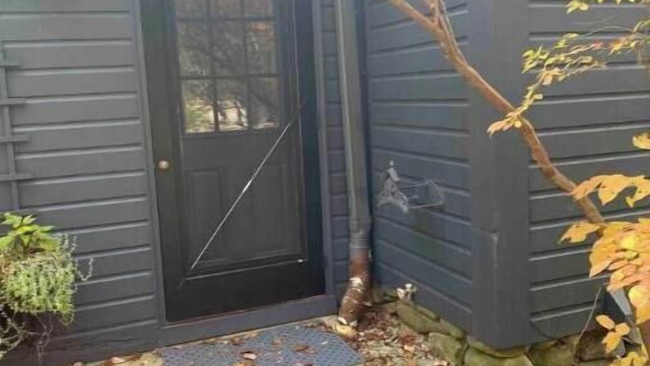 Photo of Outdoor in Wilton