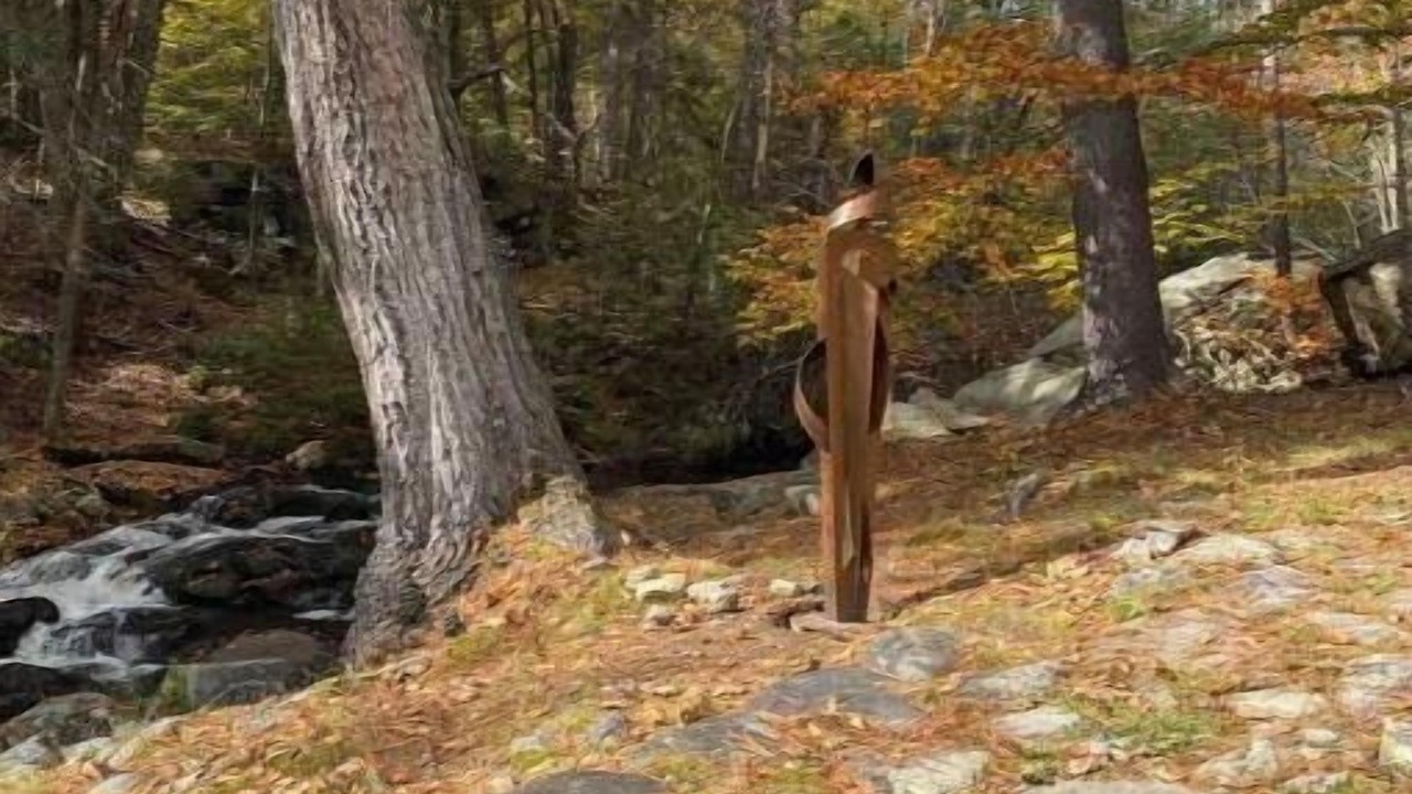 Photo of Others in Wilton