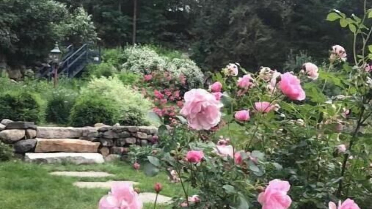 Photo of Outdoor in Wilton