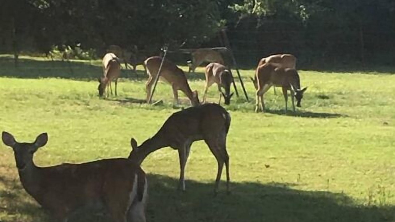 Photo of Others in Burton