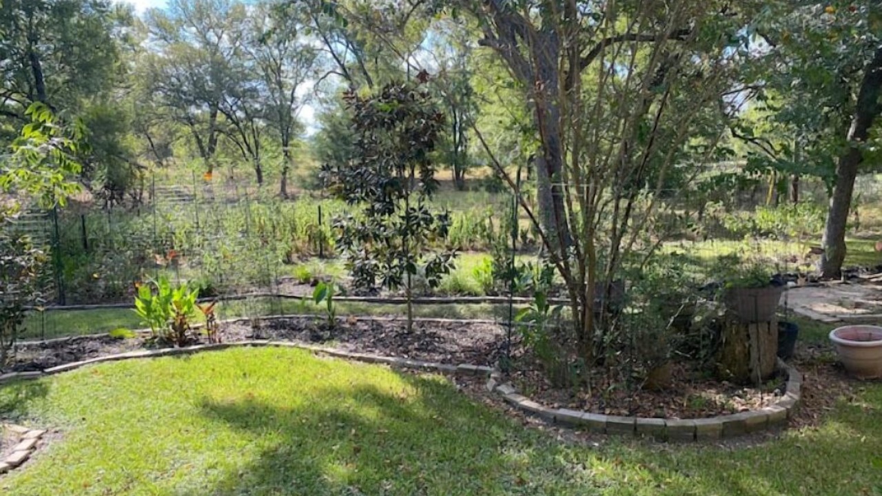Photo of Outdoor in Burton