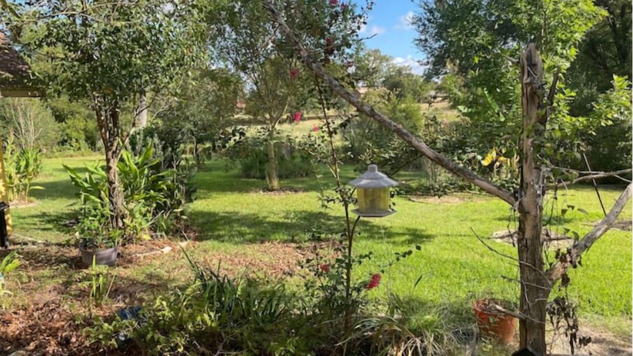 Photo of Outdoor in Burton