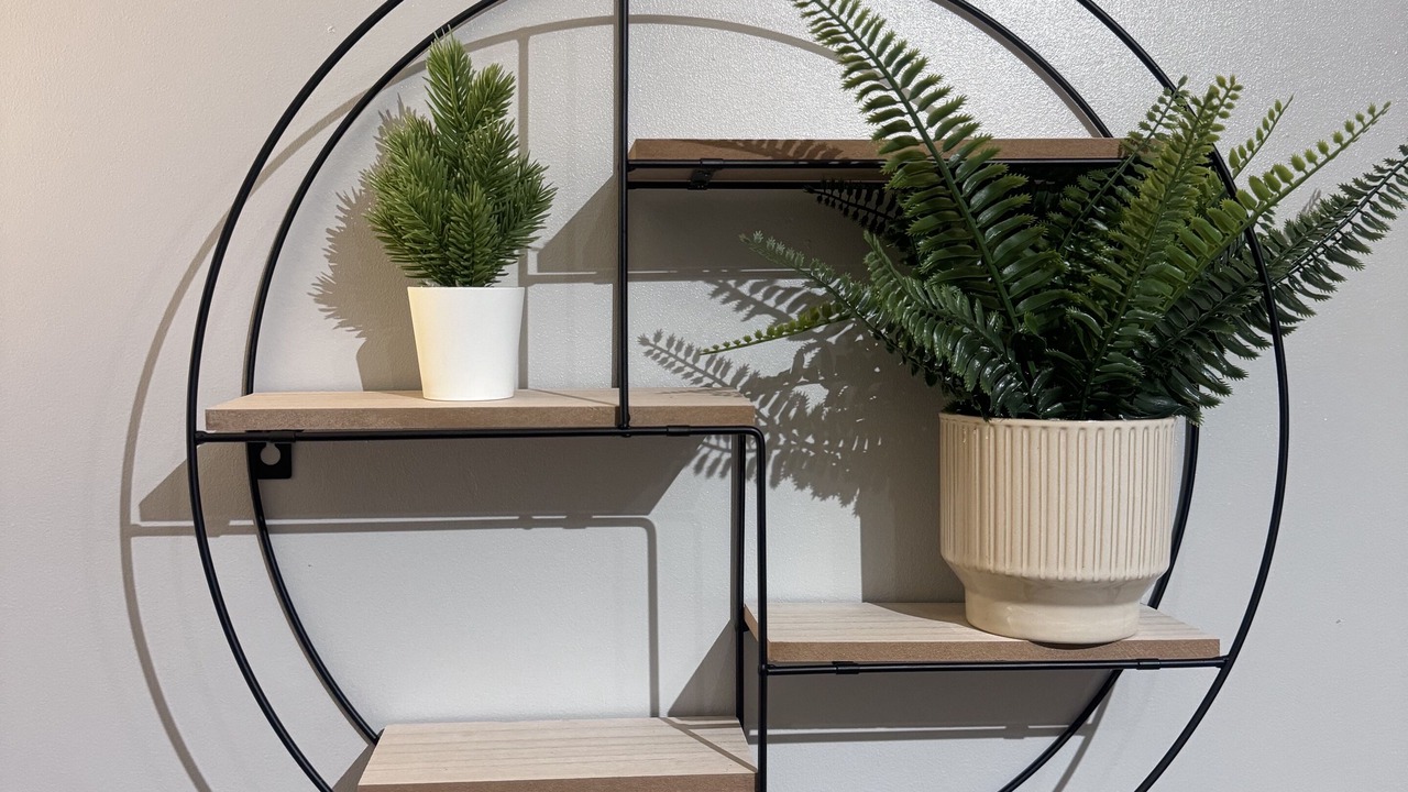 Photo of Others in Herne Hill