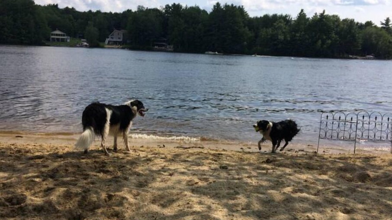 Photo of Others in Barnstead