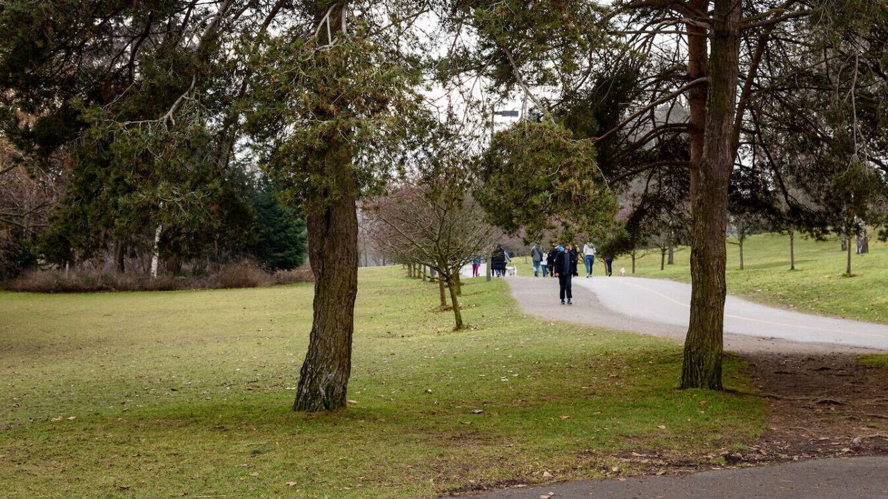 Photo of Others in Phinney Ridge