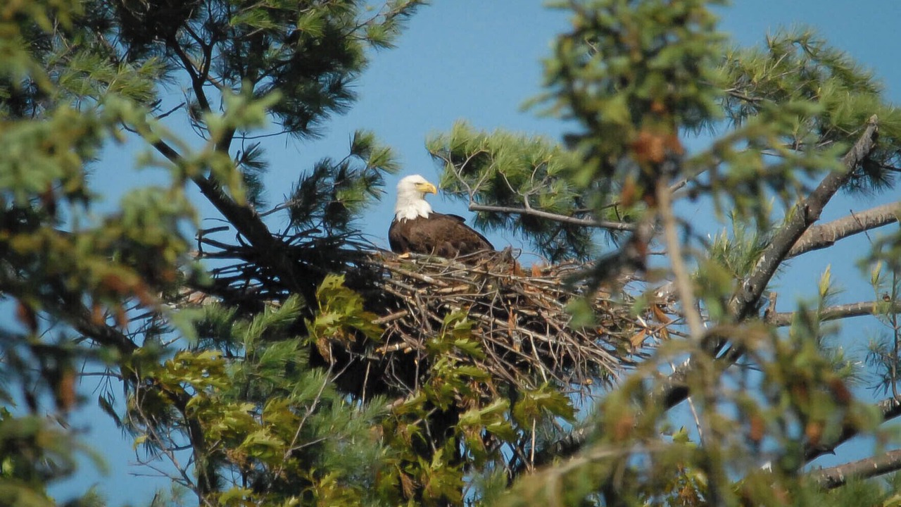 Photo of Others in Wauksaukee