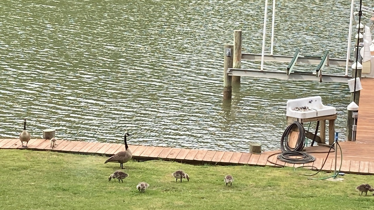 Photo of Others in Lusby