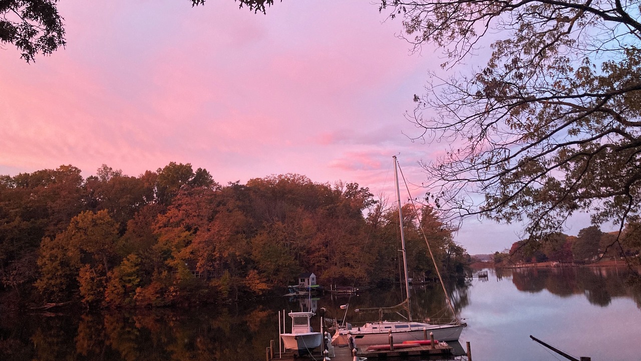 Photo of Others in Lusby