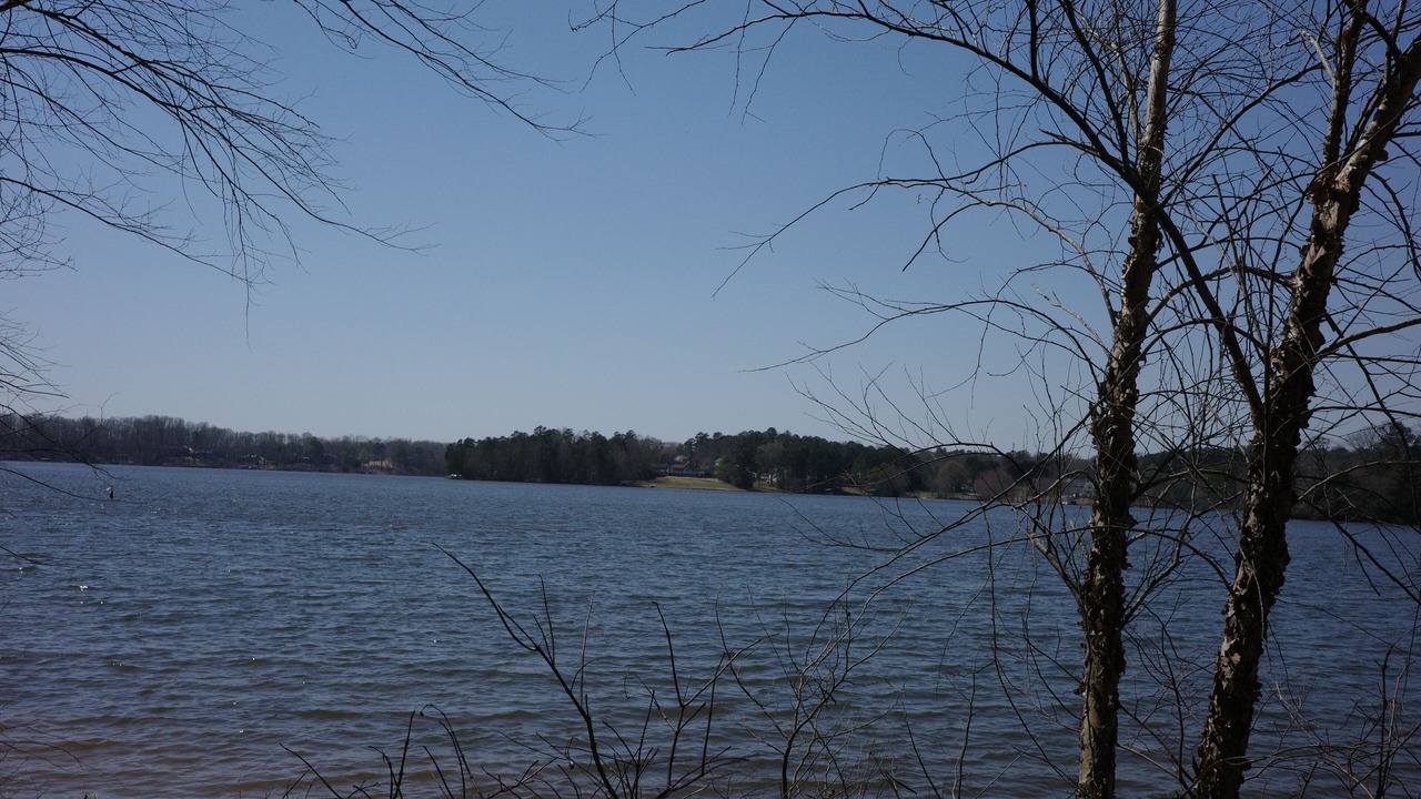 Photo of Others in Gainesville