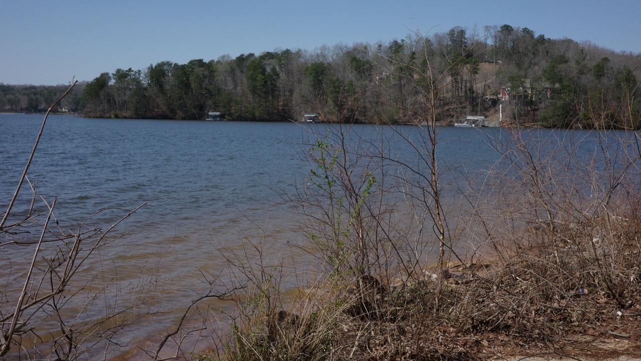 Photo of Others in Gainesville