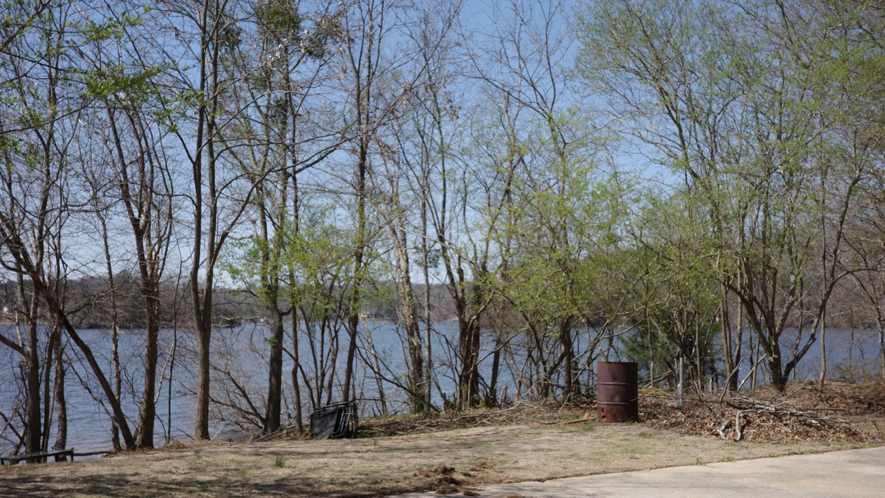 Photo of Outdoor in Gainesville