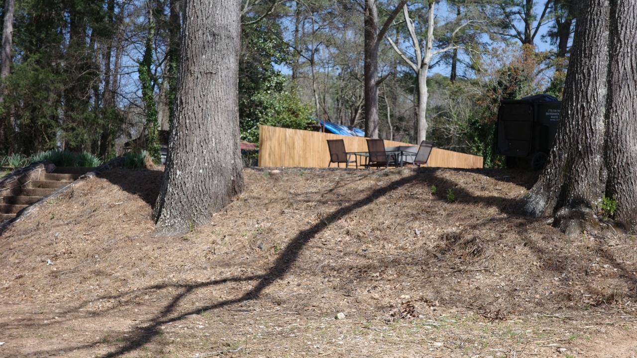 Photo of Outdoor in Gainesville