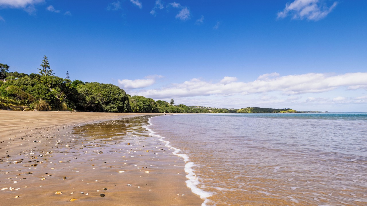 Photo of Others in Coopers Beach
