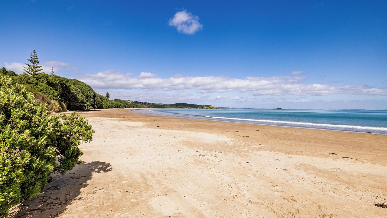 Photo of Others in Coopers Beach