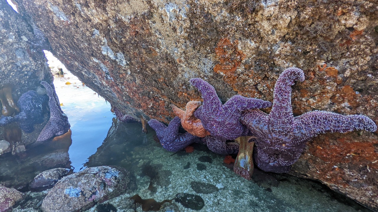 Photo of Others in Briarcliff