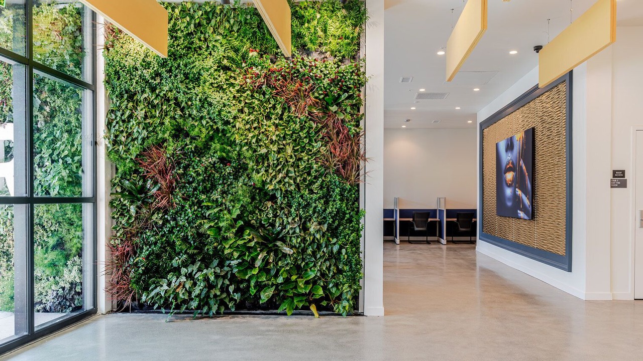 Photo of Others in Downtown Berkeley