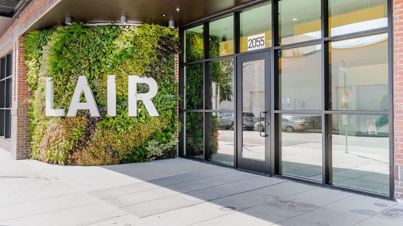 Photo of Outdoor in Downtown Berkeley