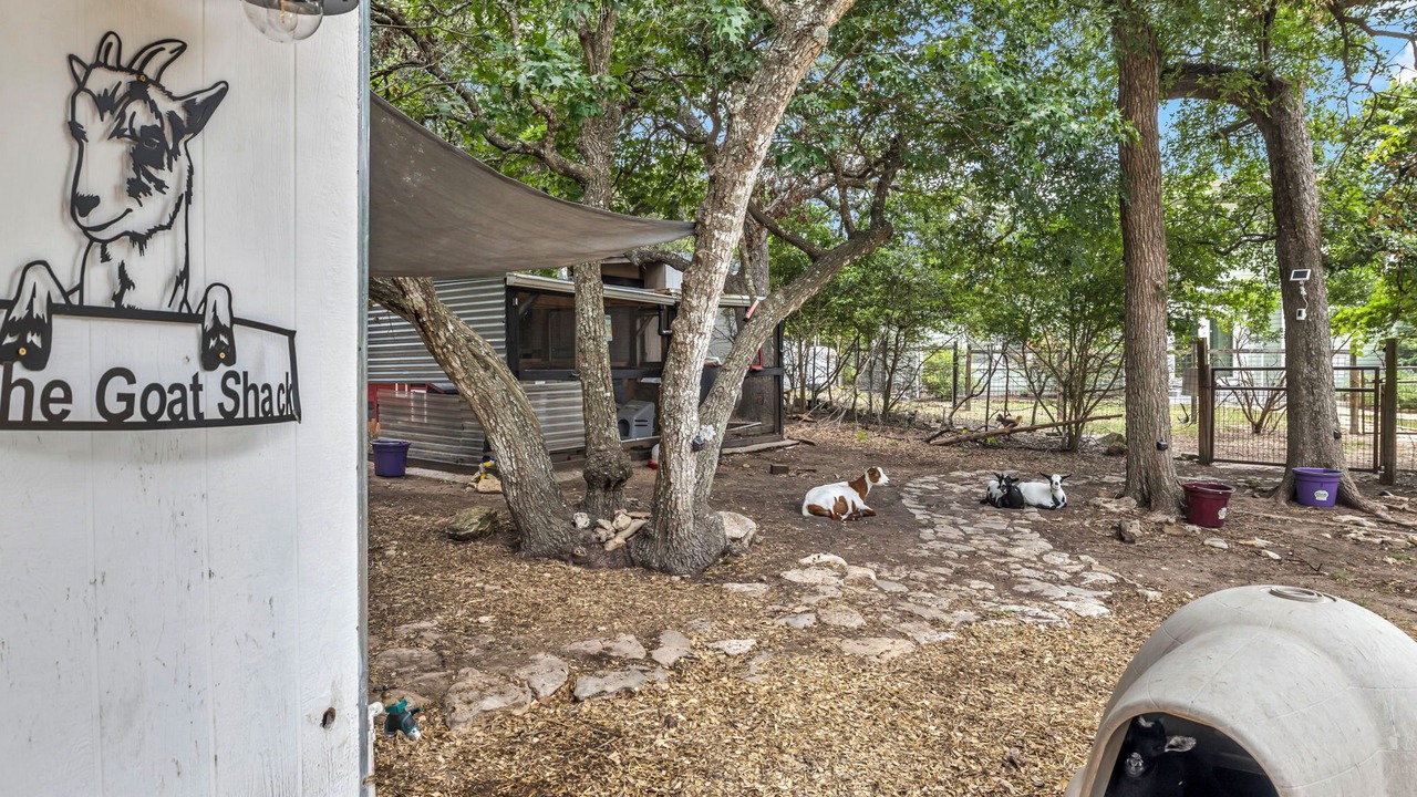 Photo of Outdoor in Bear Creek