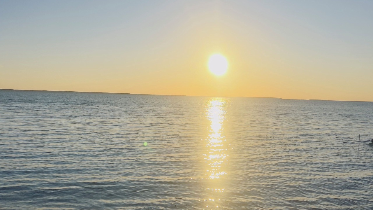 Photo of Others in Hague