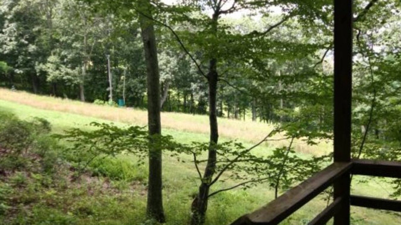 Photo of Outdoor in Wintergreen