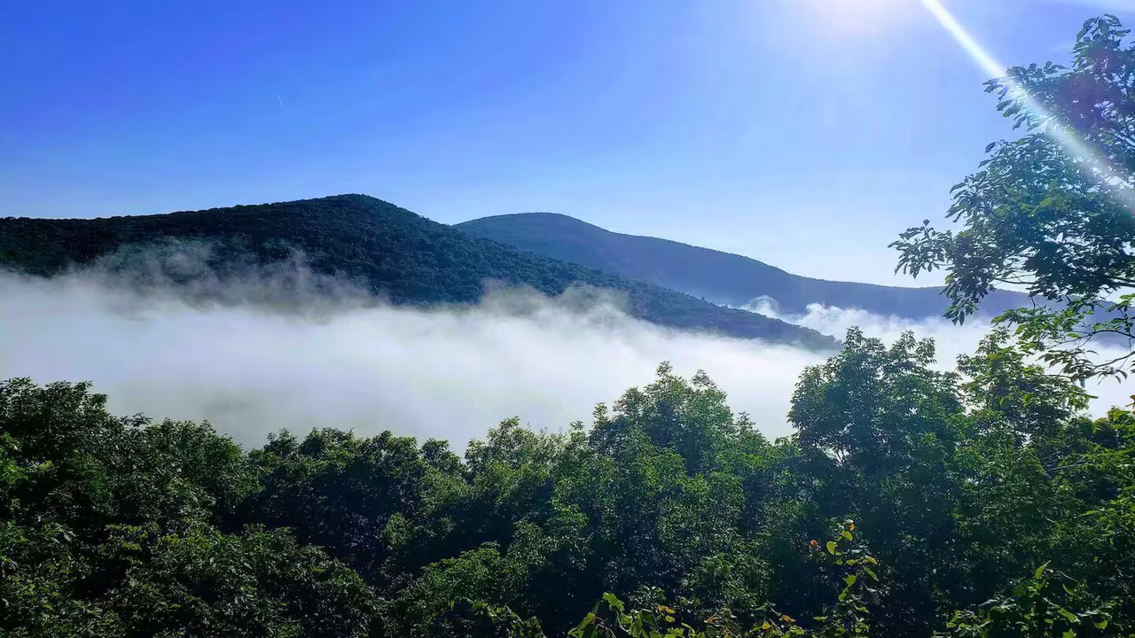 Photo of Others in Chestnut Springs