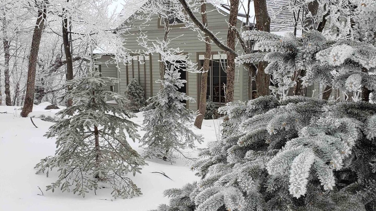 Photo of Outdoor in Chestnut Springs