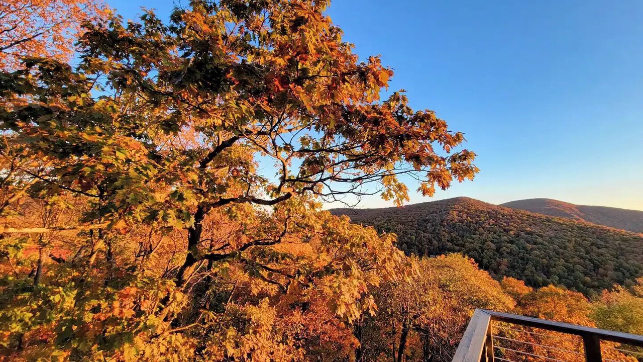 Photo of Outdoor in Chestnut Springs