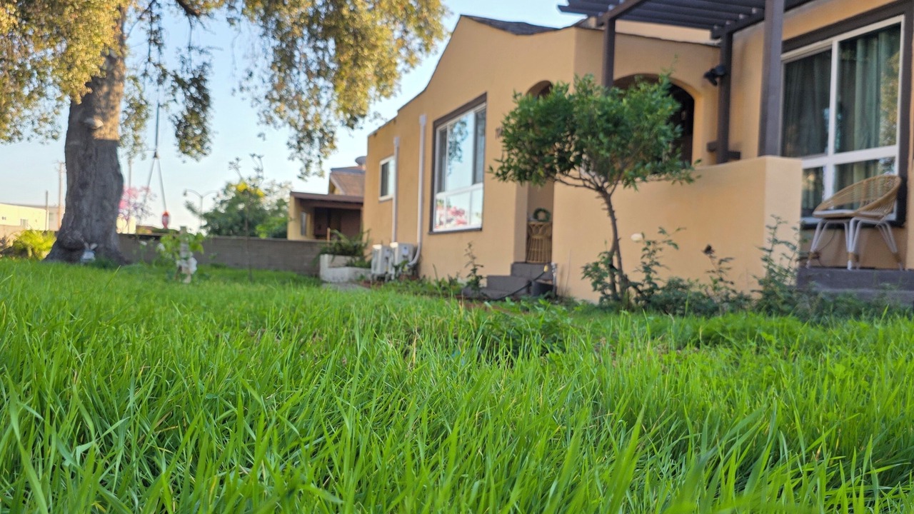 Photo of Outdoor in East San Gabriel