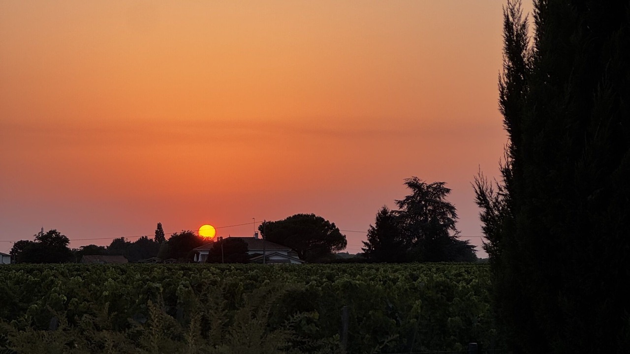 Photo of Others in Saint-Sulpice-de-Faleyrens