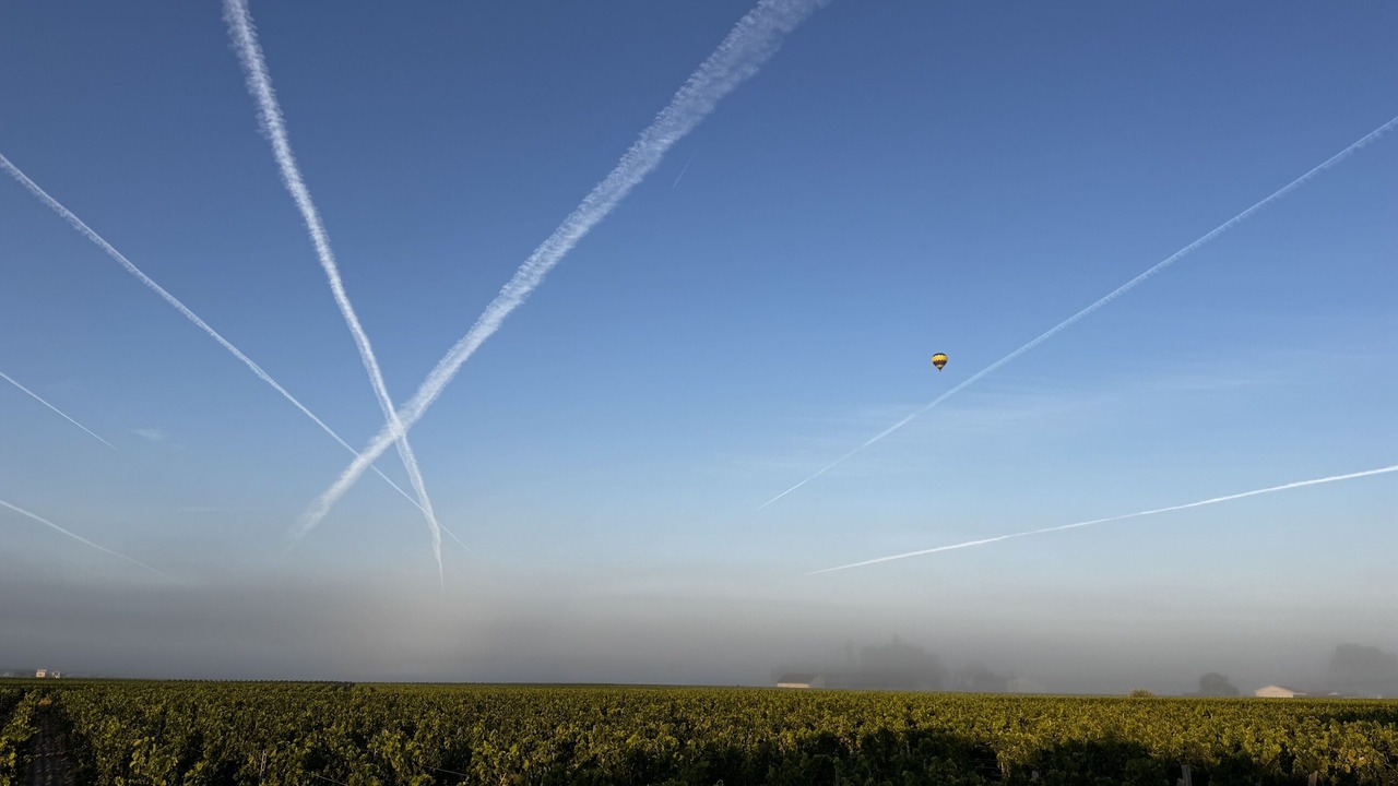 Photo of Others in Saint-Sulpice-de-Faleyrens