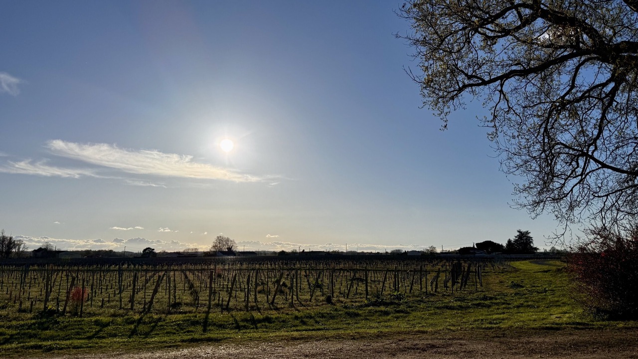 Photo of Others in Saint-Sulpice-de-Faleyrens