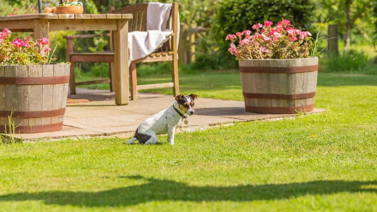 Photo of Outdoor in Trewen