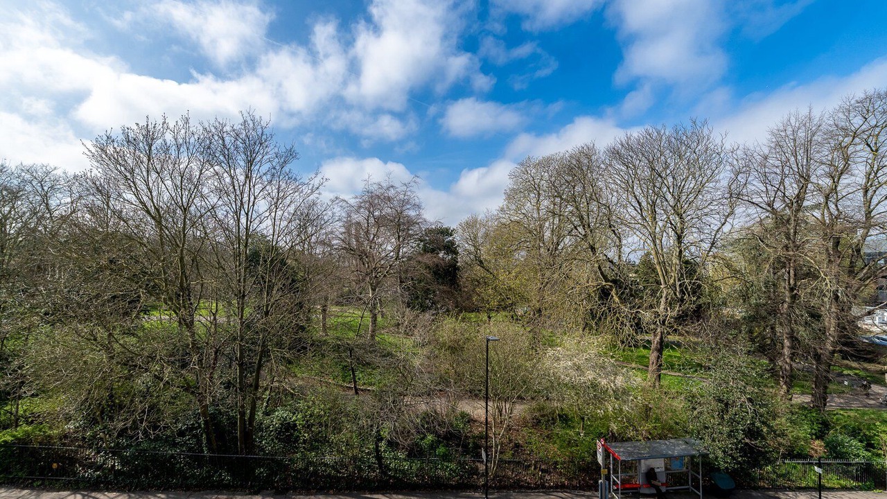 Photo of Others in South Camberwell