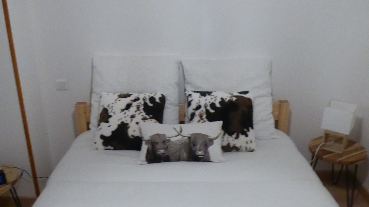 Photo of Bedroom in Superbolquere