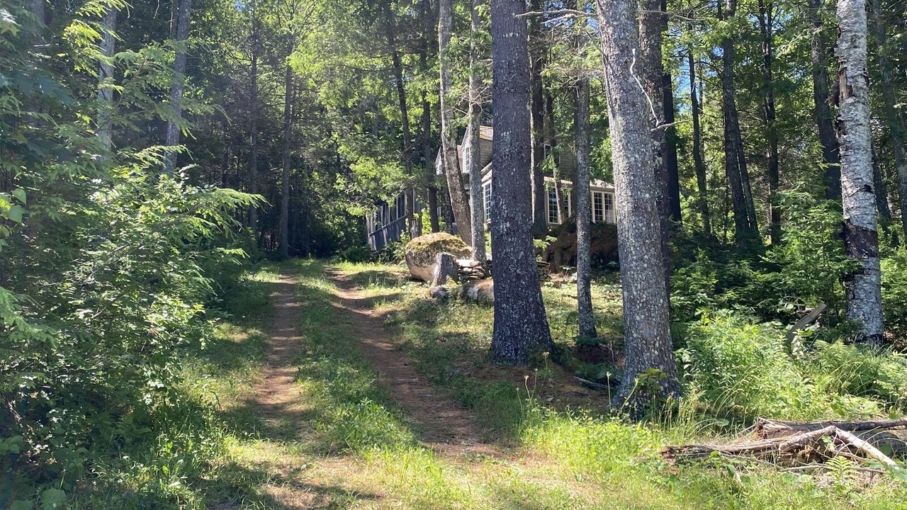 Photo of Others in Bristol