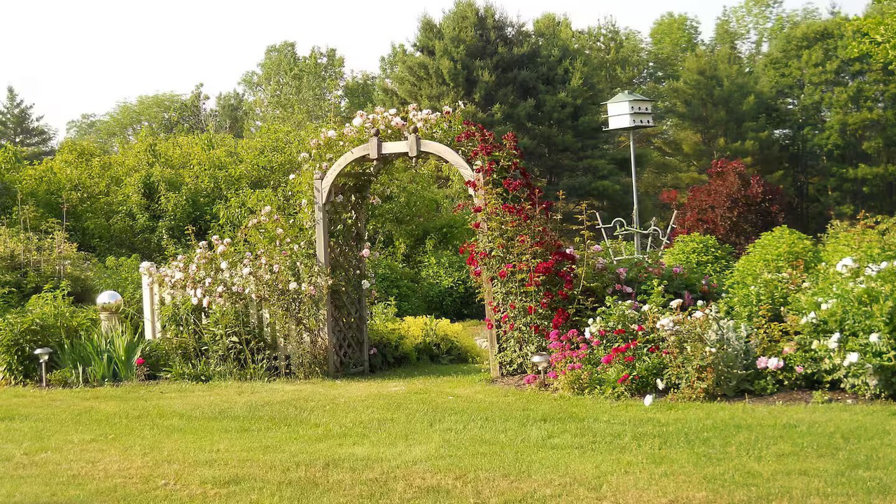Photo of Outdoor in Enfield