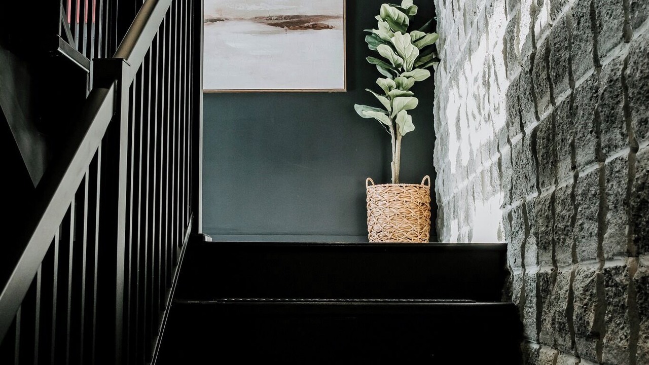 Photo of Others in Dalhousie